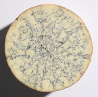 Blue Stilton Wheel